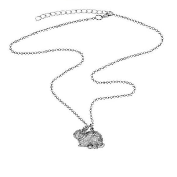 Bunny Rabbit Necklace - Copper Alloy Plated in Antique Silver - 17" chain - Picture 2 of 10